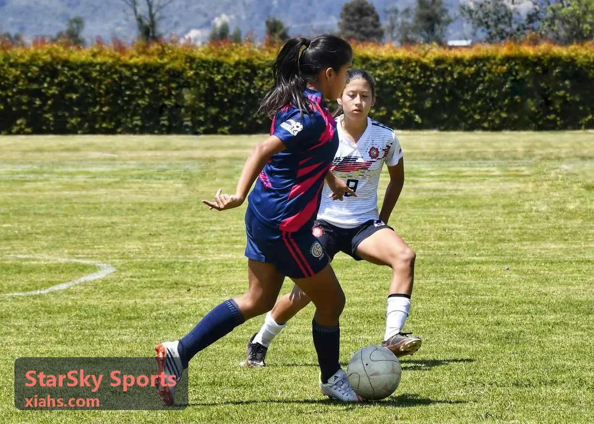 StarSky Sports 青少年篮球训练基地场馆建设