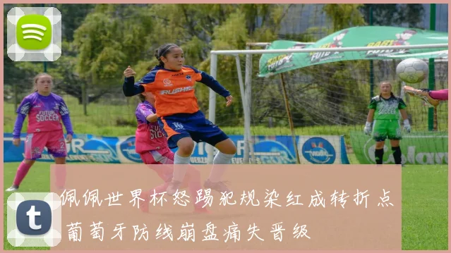 佩佩世界杯怒踢犯规染红成转折点 葡萄牙防线崩盘痛失晋级