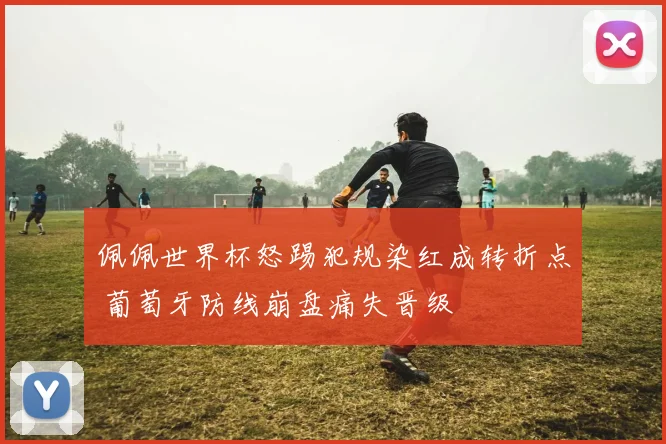 佩佩世界杯怒踢犯规染红成转折点 葡萄牙防线崩盘痛失晋级