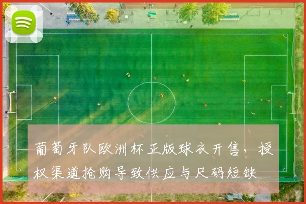 葡萄牙队欧洲杯正版球衣开售，授权渠道抢购导致供应与尺码短缺