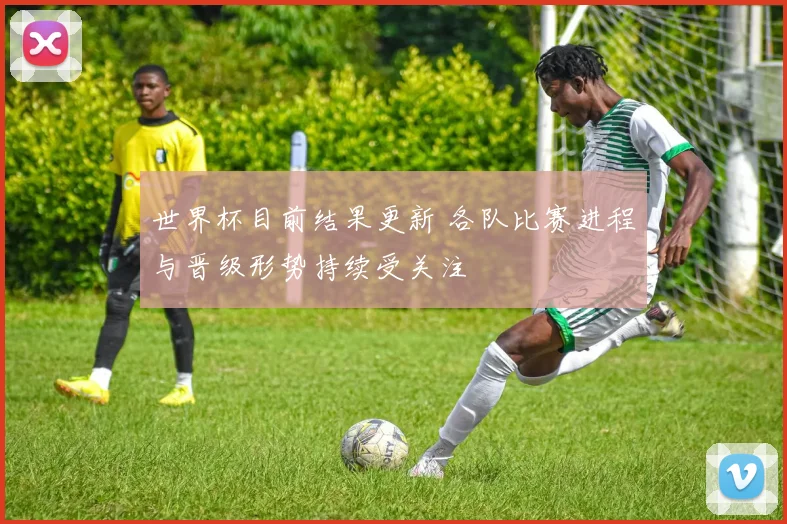 世界杯目前结果更新 各队比赛进程与晋级形势持续受关注