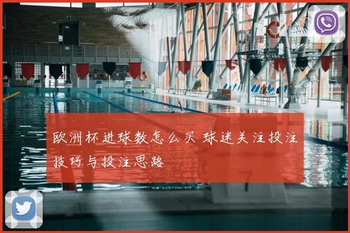 欧洲杯进球数怎么买 球迷关注投注技巧与投注思路