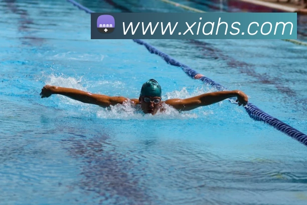 奖项证书